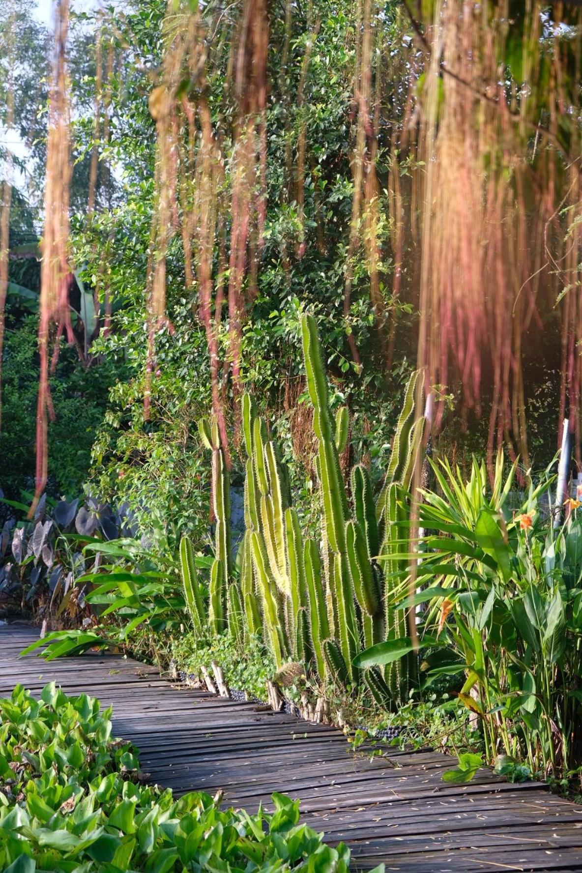 Bungalow - Farmstay Hoa Rung U Minh Cà Mau المظهر الخارجي الصورة