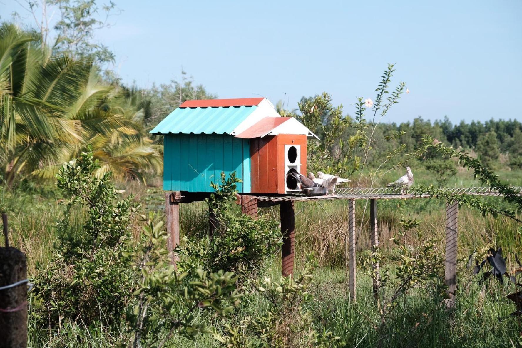 Bungalow - Farmstay Hoa Rung U Minh Cà Mau المظهر الخارجي الصورة